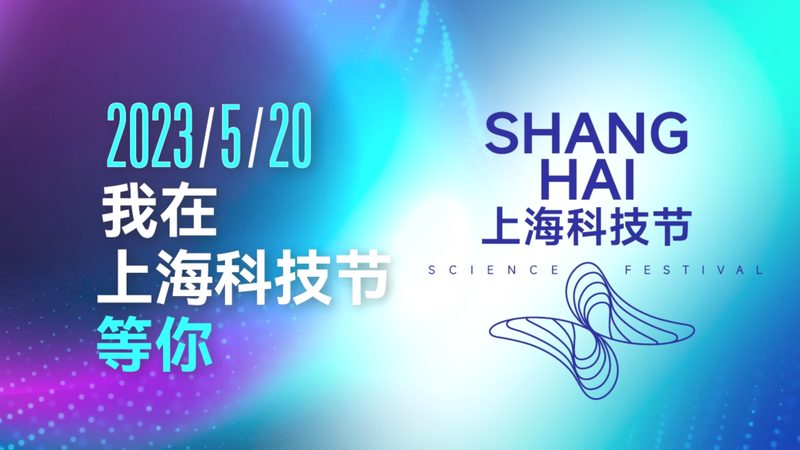 科技服务项目招标报价方案：为什么低价未必是赢家