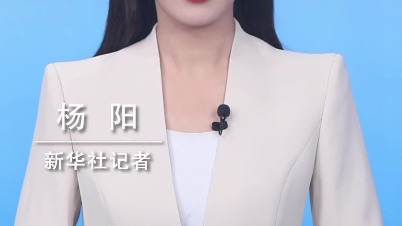 报价单里藏着的可视化工具定价逻辑
